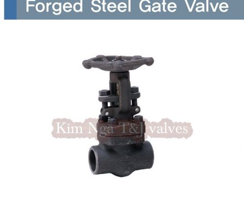 Van cửa thép ren áp lực A105 #800