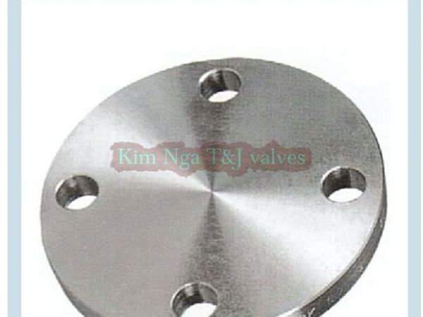 Mặt bích đặc JIS