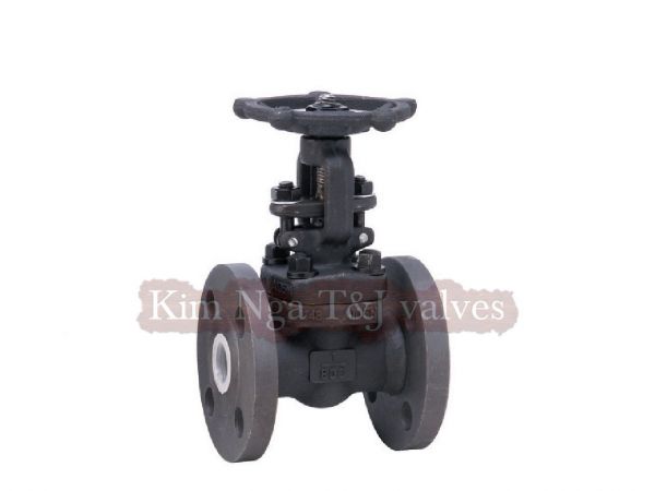 Van cửa thép mặt bích áp lực A105 #800