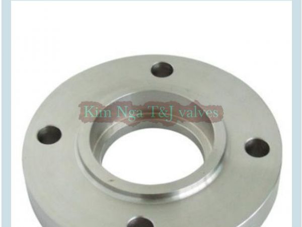 Mặt bích rỗng DIN