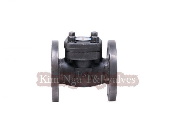 Van 1 chiều thép mặt bích áp lực A105 #800