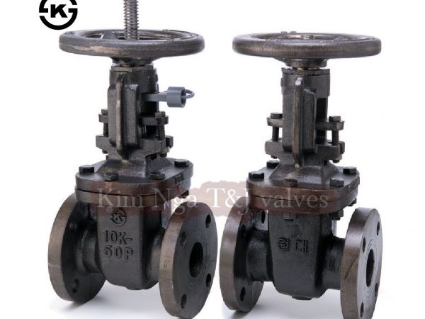 Van cửa gang mặt bích TY nổi 10k