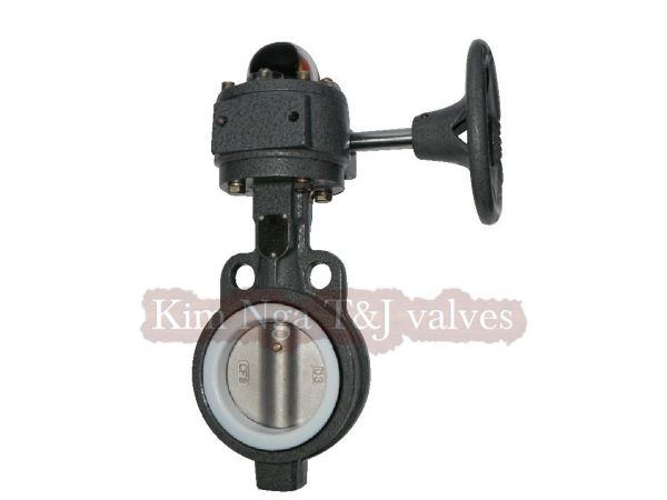 Van bướm gang téplon quay 10K