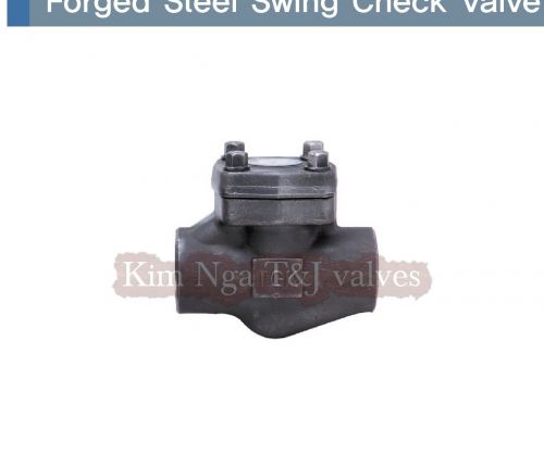 Van 1 chiều thép ren áp lực A105 #800