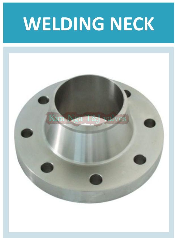 Mặt bích ANSI cổ cao