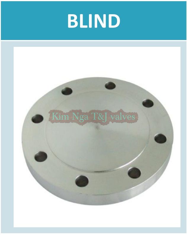 Mặt bích mù ANSI