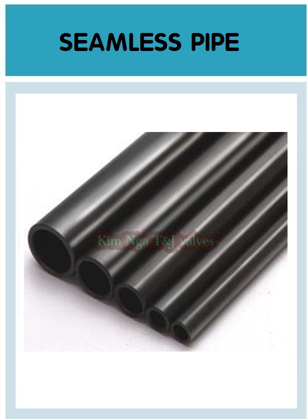 Ống hàn đúc thép kẽm inox sch10, sch20, sch40 hàn quốc 13
