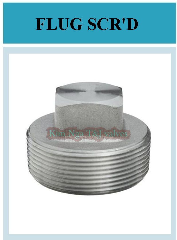 Nút bít ren inox