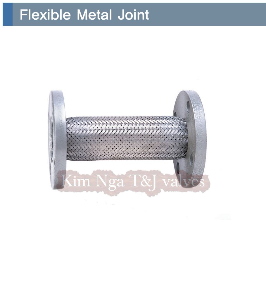 Chống rung inox mặt bích sắt 10K