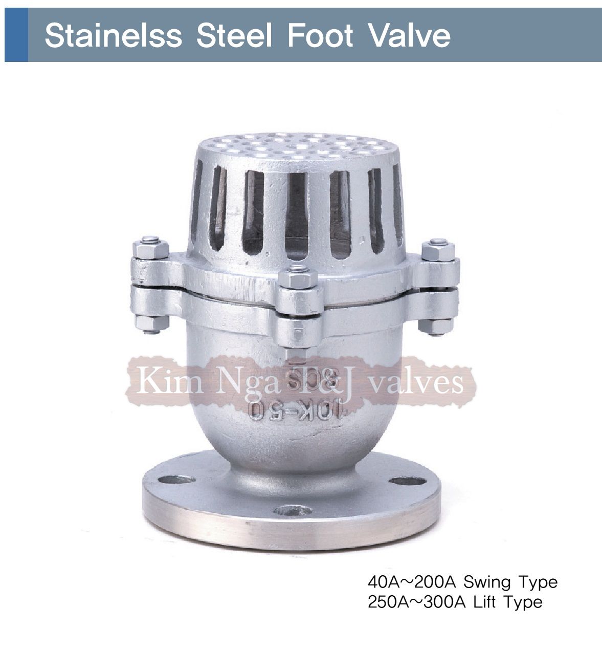 Rọ bơm inox mặt bích