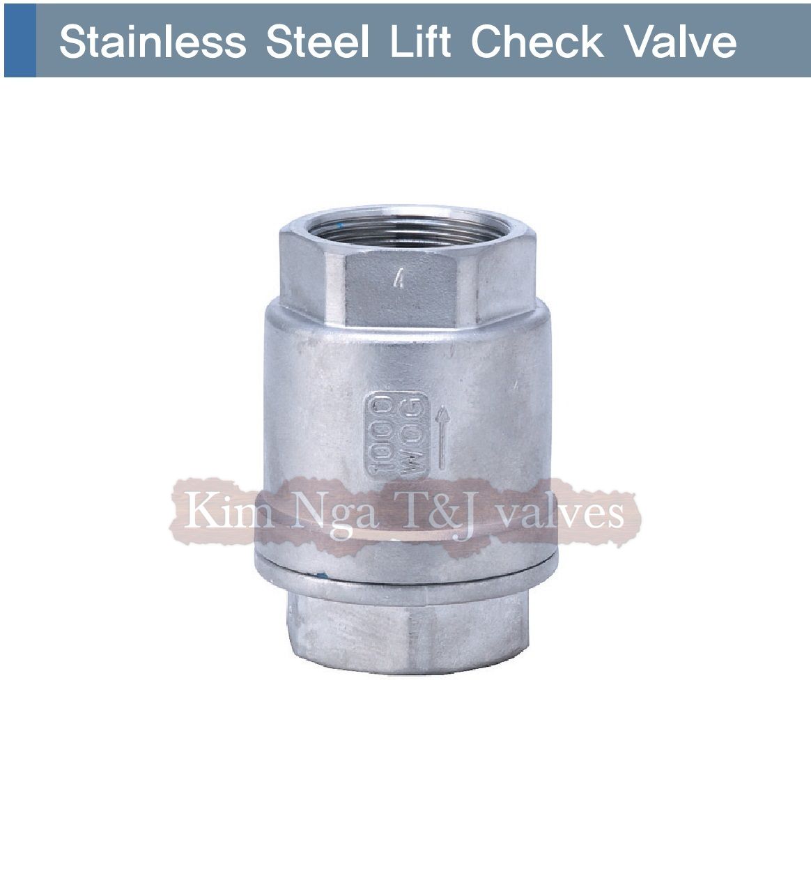 Van 1 chiều lò xo inox ren 10k