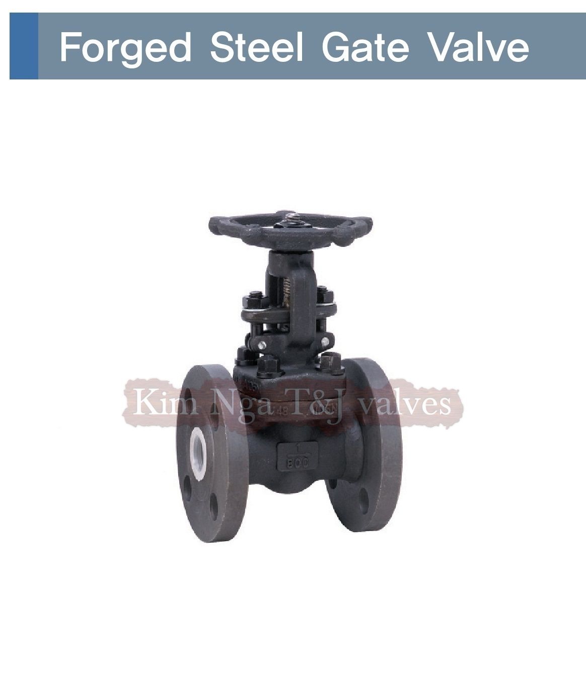 Van cửa thép mặt bích áp lực A105 #800