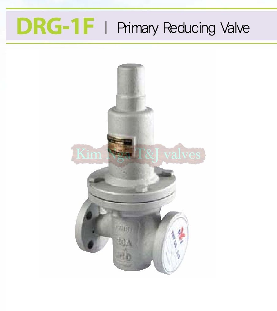 Van giảm áp DRG-1F