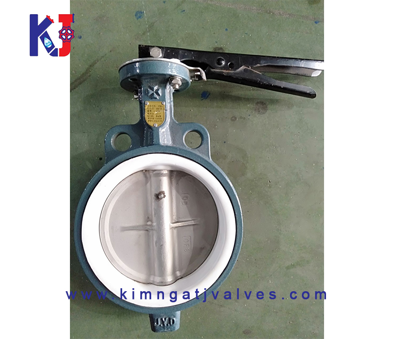 Van bướm gang teplon tay gạt