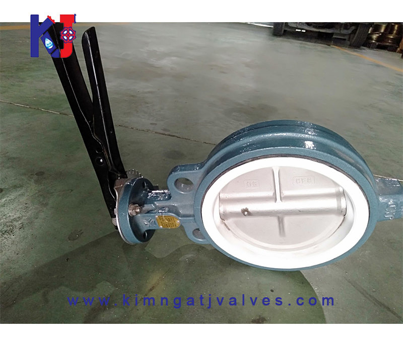 Van bướm gang teplon tay gạt